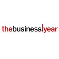 thebusinessyear
