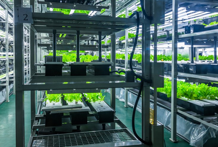 Fully-Automated Farms for Increased Agricultural Production